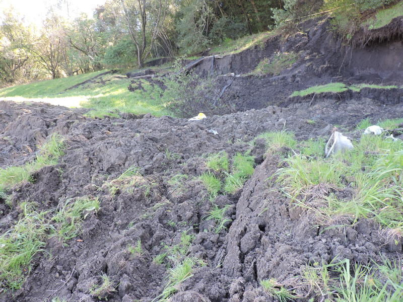 Emergency Landslide Remediation